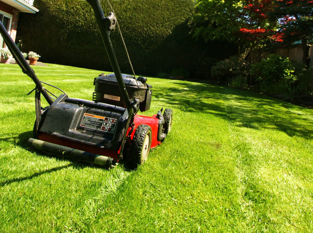 grass-cutting